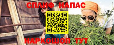 шишки Коммунар